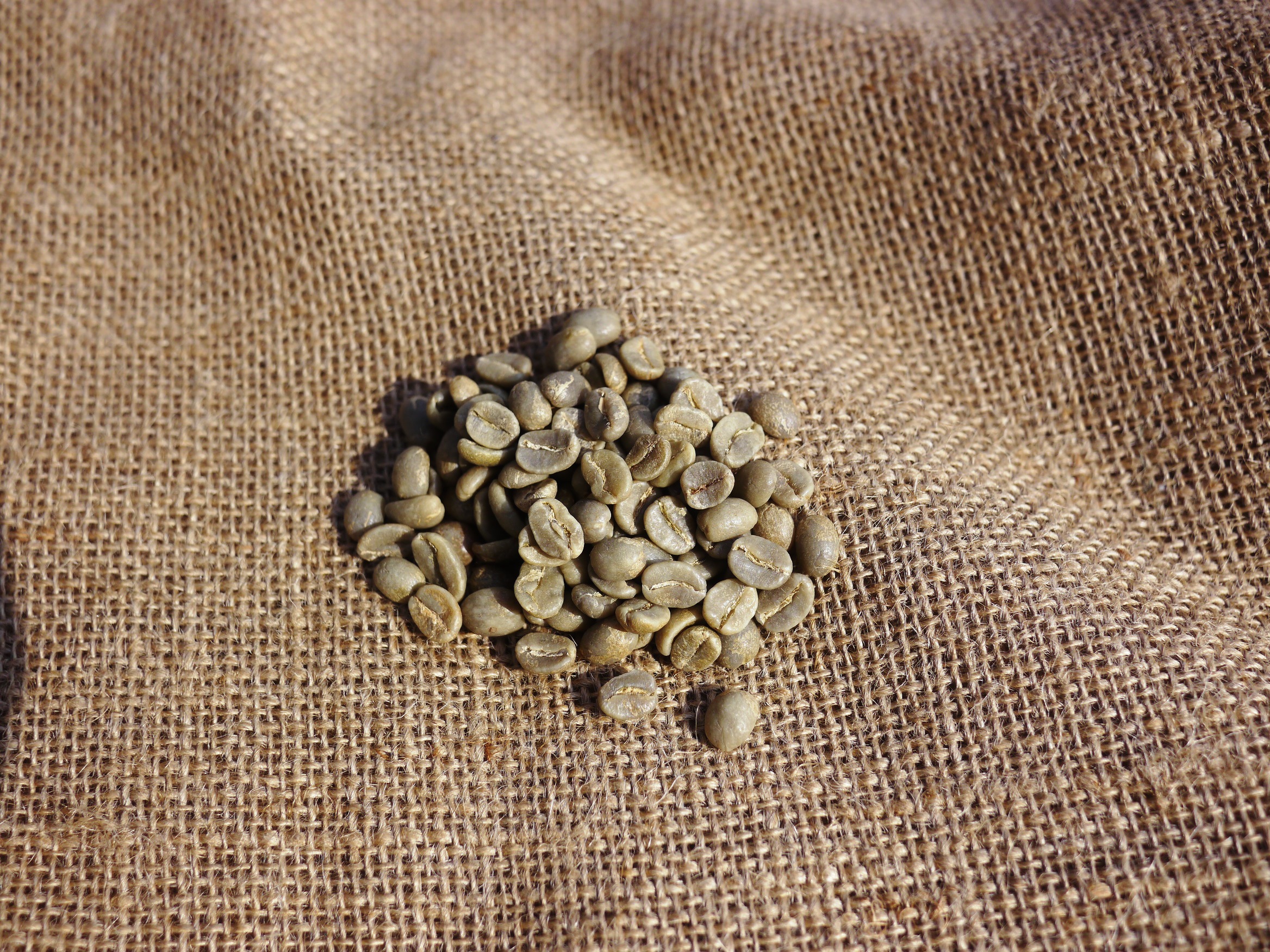 ニコニコ珈琲 コーヒー豆 粉